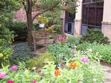 Garden with flowers and a bench