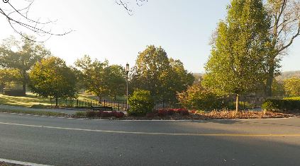Buckingham campus entrance with a road and tall trees surrounding the road