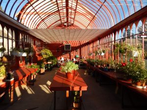 inside of a greenhouse with plants lining the walls and isles