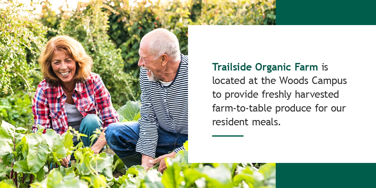trailside organic farm is located at the woods campus to provide freshly harvested farm-to-table produce for our resident meals