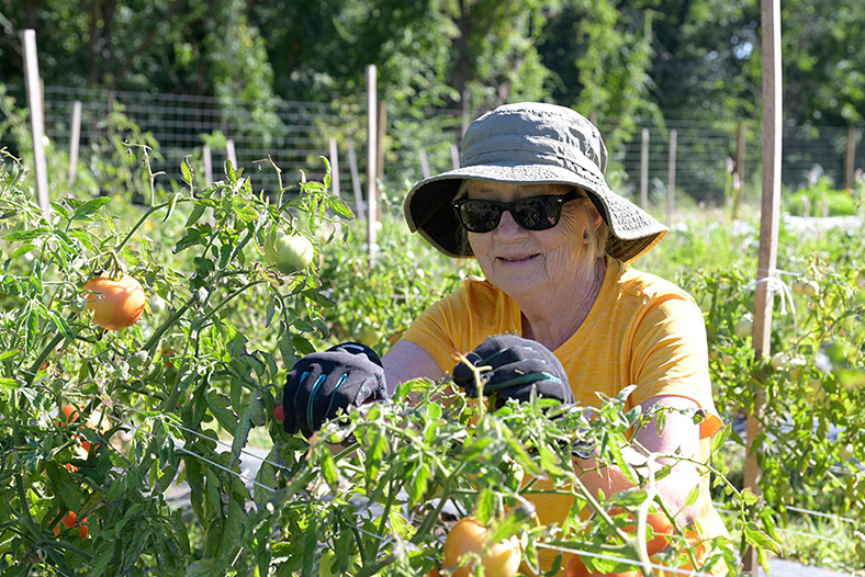 Katherine Gehris, a resident at the Buckingham Campus, volunteering at the Trailside Organic Farm.