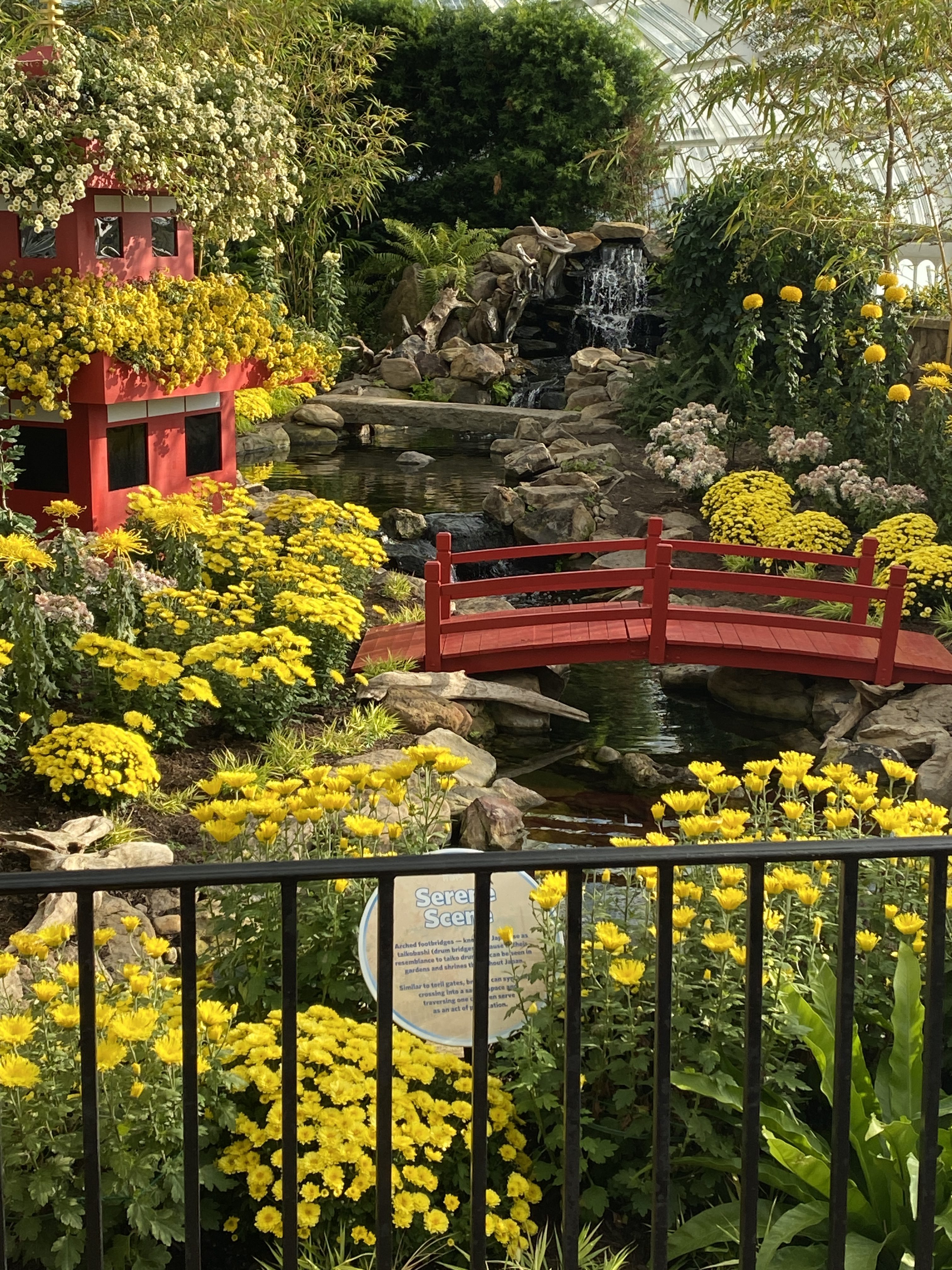 9639BFE8-F7A3-4F15-A148-25ECA435CA48